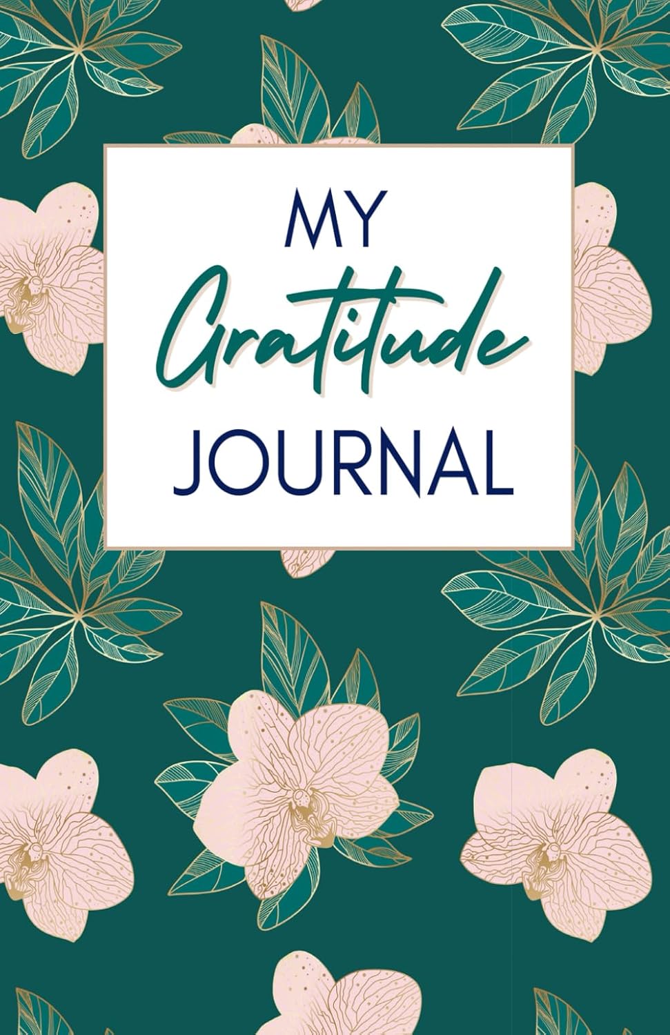 My Gratitude Journal